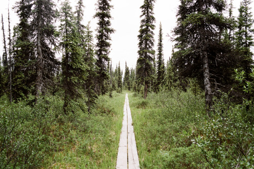 cerceos:  Wes Sumner | Tumblr Alaska