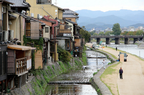 sobaslut:Kamogawa River,Kyoto,Japan by nagatak on Flickr.