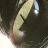 thewinedarksea:“If I am anything, I’m cruelty.” — Alejandra Pizarnik, from […] On Silence