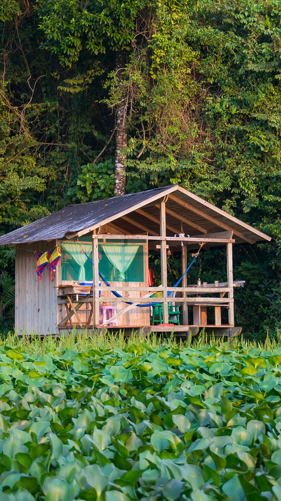 noodlesandbeef:  Our cabin was on a lake, had a hammock, and the bed was topped with