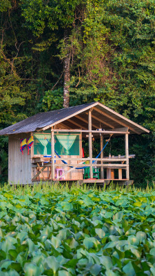 noodlesandbeef:  Our cabin was on a lake,