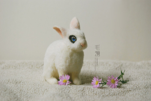 ▋ Hotot Rabbit ( custom-made ) Sculpture approximately 6.5 x 13.5 x 11 cm ( not including ears )