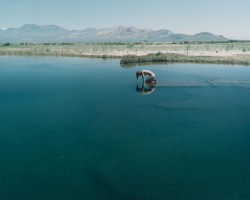 mpdrolet:  Swimmer leaning into reflection, hot springs pool near Fly geyser, 2002 Peter Goin 