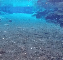 whisperstims:  Piula Cave Pool