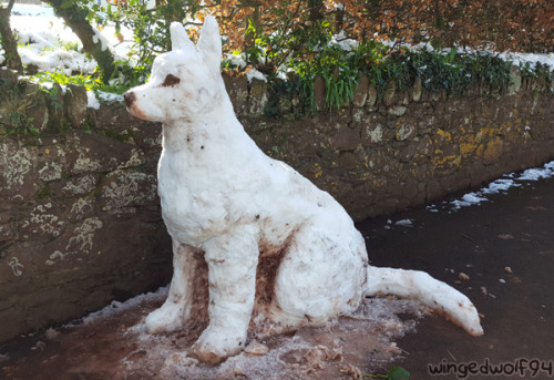 vultureculturecoyote: Made a snow dog in the local park. Cleared the snow out of half the park doing