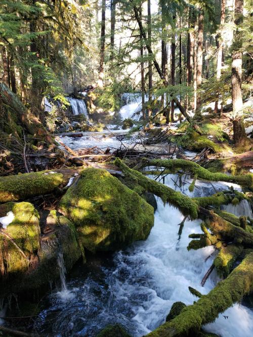 oneshotolive:  Mill Creek Falls, OR (3024