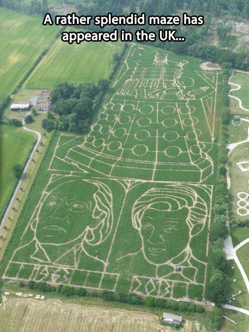 lumos5000-getsspooky:  piecesofmerevealed:  This is amazing.  did you just… 