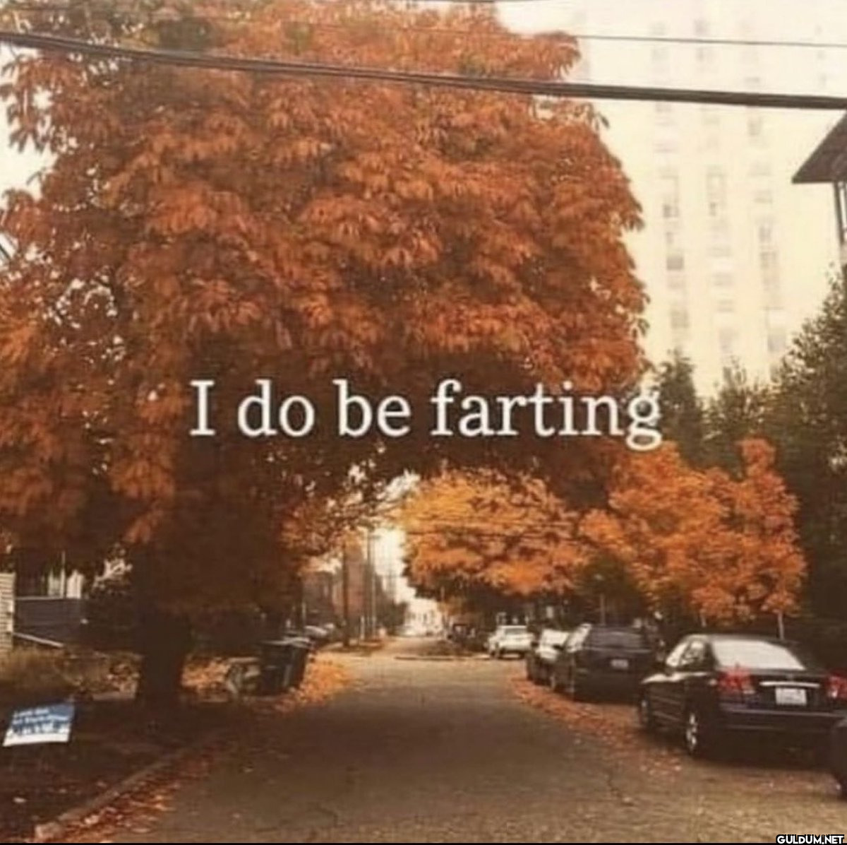 I do be farting