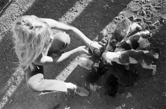 Brigitte Bardot giving food and water to stray dogs during the filming of “Viva Maria” in Mexico, 1965