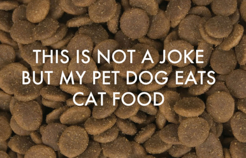 lmaocourse:  thriveworks:  Jokes Written by Kids (see 10 more)  shitposters in the making 