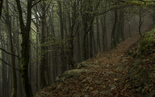 90377:Misty Mountains by Antoine Thibaud