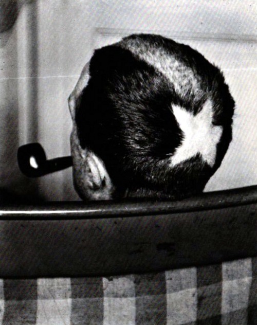 Man Ray - La tonsure de Marcel Duchamp, 1921.