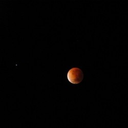 un-hermosodesastre:  Eclipse de Luna 15/04/2014 4:40