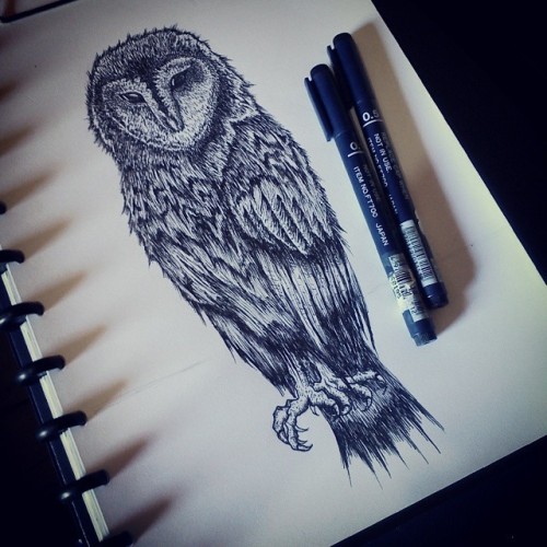 brutalgeneration:  Finished check out my art. Instagram: @blackdotx#art #brutalgeneration #owl 