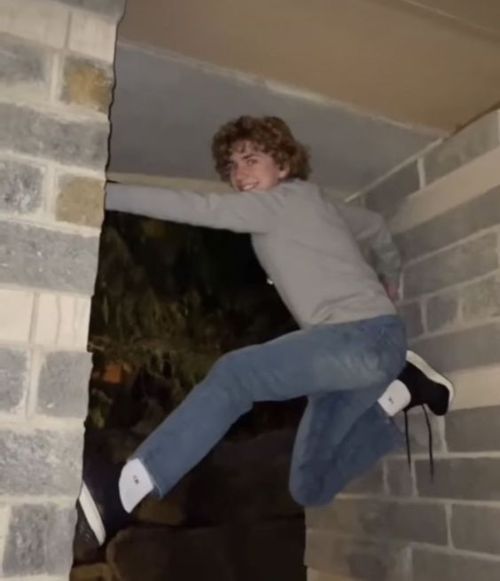 Pov: Your Camera Roll If You're Percy Jackson's Older Half-sibling