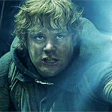ianmckellen:  lotr meme: nine characters (5/9) → Samwise Gamgee &ldquo;You’ve