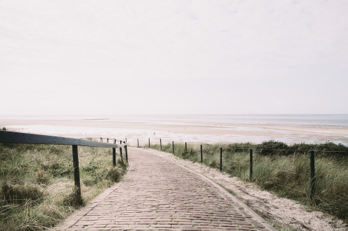 punicwars: holland by Daniel Zenker