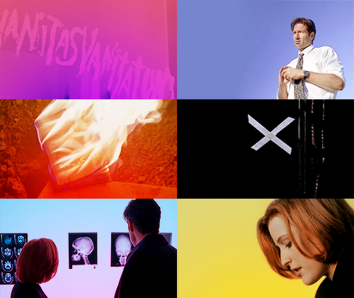 thisyearsgirls:  Nothing happens in contradiction to nature, only in contradiction