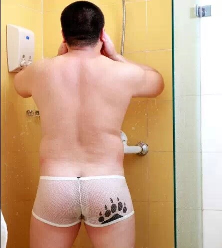 ragbear5:  http://www.aliexpress.com/store/731678   Last 10 days 20% off! Sexy bear gay underwear! Designed for bear!