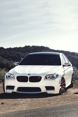 mistergoodlife:   M5 on Zito Wheels 