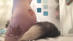 Bunny's BDSM Blog 18+