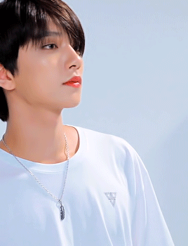 SEVENTEEN X WEGO - Joshua