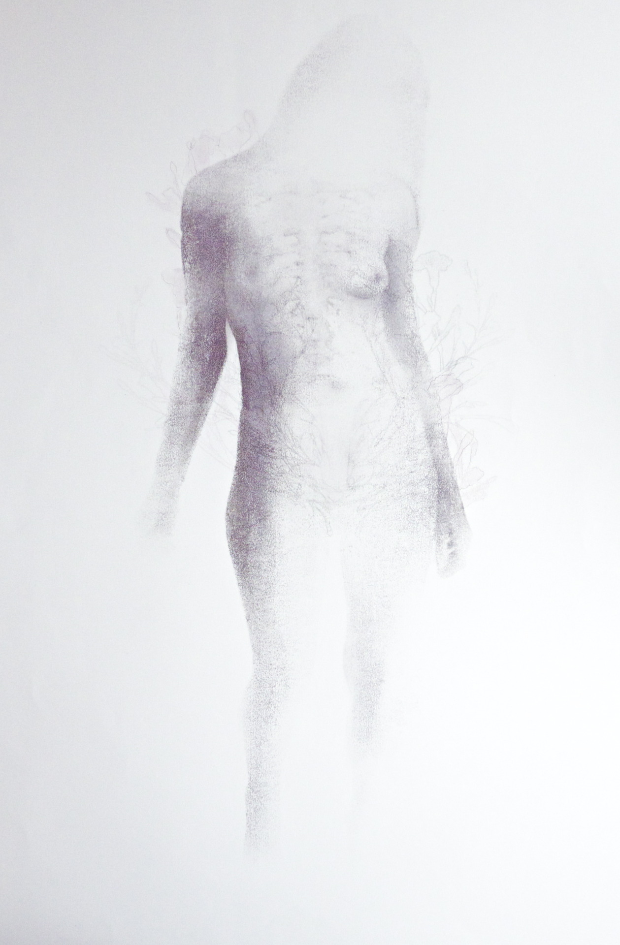 emilychaplain:  Monoprint 2012 xerox transfer and subtle pink monotype probably somewhere