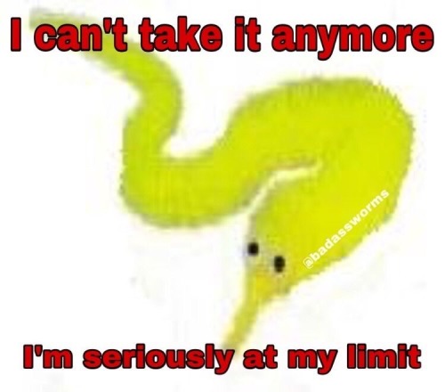 I Might Regret Making A Blog For A Literal Worm In A String