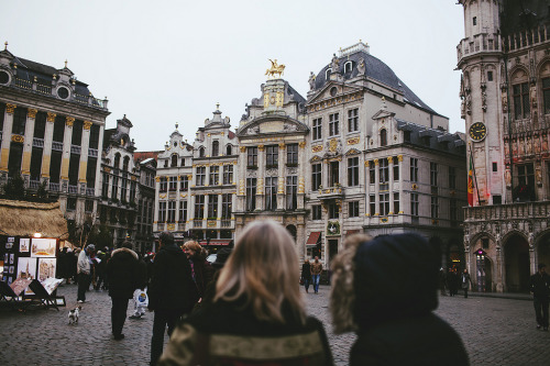 felicem:  IMG_8785 (by C Schaller) 