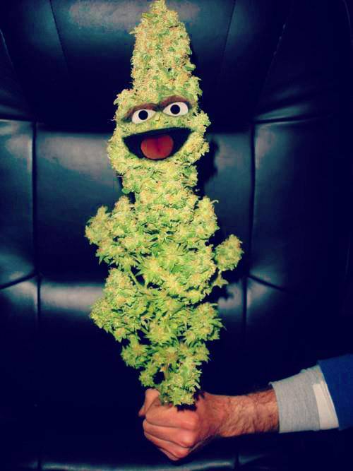 officialhighhumor:realwizdomquotes.tumblr.com
