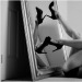 heels-aesthetic:Don’t forget to reblog if you like what you see ❤️Ask me anything !!!@heels-aesthetic