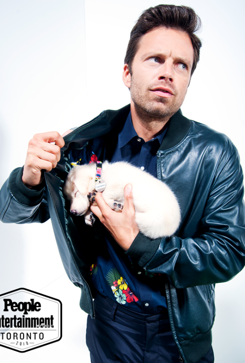 Toronto puppies
