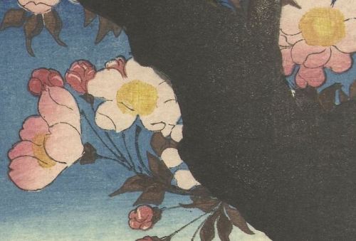 Utagawa Kunisada (歌川 国貞) also known as Utagawa Toyokuni IIIFlower details from various woodblock pri