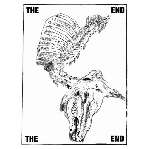 THE END 17