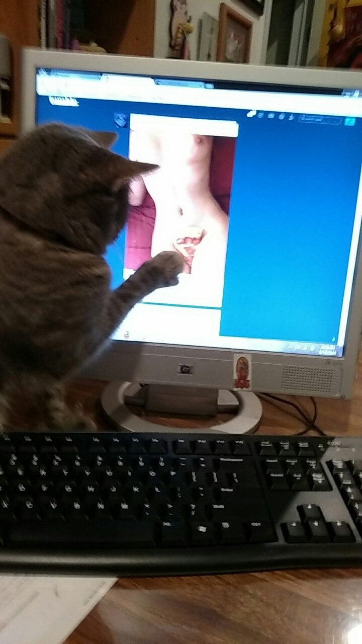 jem-sie:  astro-traveller:  jem-sie   CAT NO