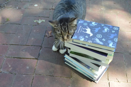 infinite-book-collection:The only things that can make books better are cats.