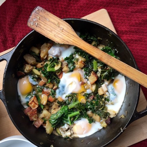 allbingeandnopurge:  Lamb, kale, and apple hash for our Sunday brunch! #foodie #food #foodporn #foodgasm #igfood #sharefood #foodpics #foodphotos #foodphotography #homemade #brunch #sf #alwayssf