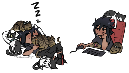 mildlycuriousdragon: *dumps cats onto noct* I think he deserves this