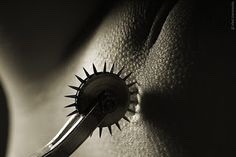 daddysdlg: The Wartenberg Wheel can be used to create all kinds of delicious sensations for a sub. Used lightly, it can tickle, while causing a sense of anticipation. With more pressure, it can cause sharp pain or break skin - so be sure to properly disin