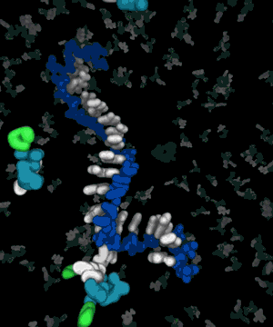 infinity-imagined:  A hypothesized mechanism for the origin of life, an event called