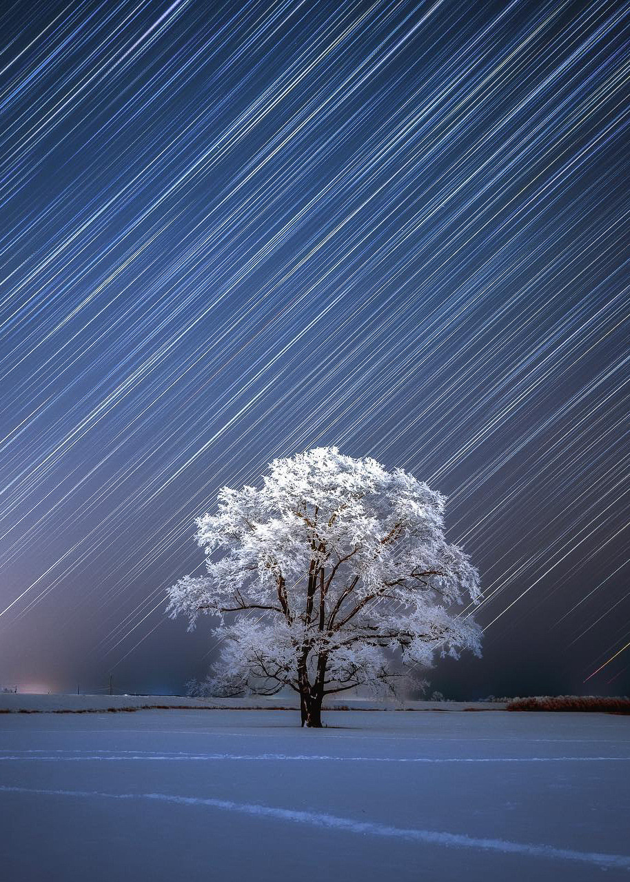 coiour-my-world:
“Harnile tree | Hokkaido, Japan || __nob___
”