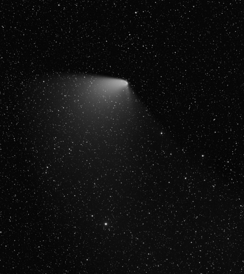 galaxyshmalaxy:Comet C/2011 L4 Panstarrs Widefield L from New Mexico Skies - April 7, 2013 (by Josep