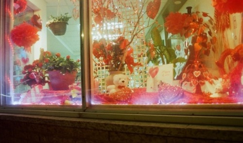 goldenprairies:Valentines display at Top Hat Florists