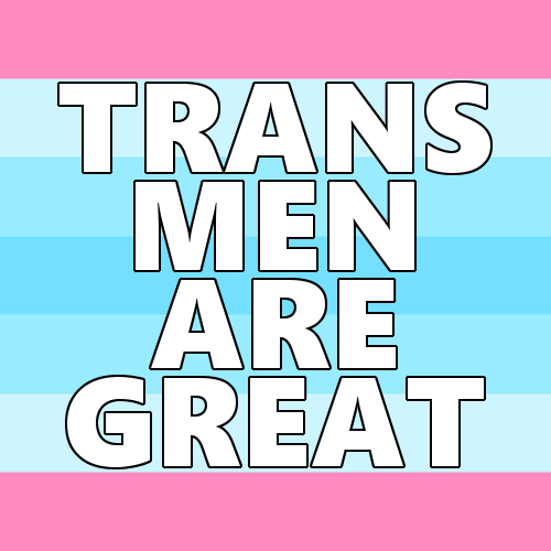 queerlection:[Image description - Images of the trans, transmasculine and transneutral pride flags w
