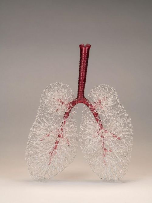 Kit Paulson. Lungs, 2020.flameworked borosilicate glass