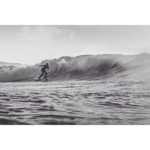 [photo: @nickpumphreyphoto] #animaluk (at Lahinch, Clare)