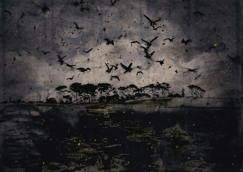 radstudies:Elizabeth Magill (Irish, b. 1959) - Roches Rooks, 2006