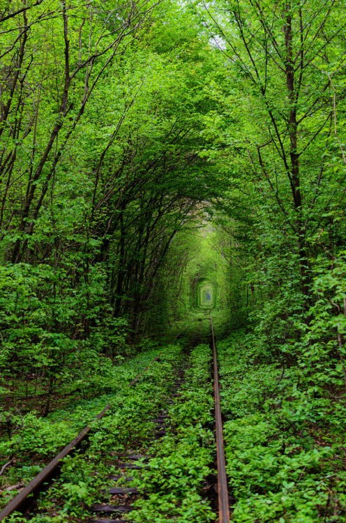 elinka:  The tunnel of love by A.Rodriguez   I need to find this place!