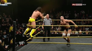 Adrian Neville vs Antonio Cesaro on NXT!  Very good match! =D
