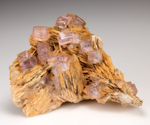 bijoux-et-mineraux:Fluorite with Barite - Berbes, Asturias, Spain